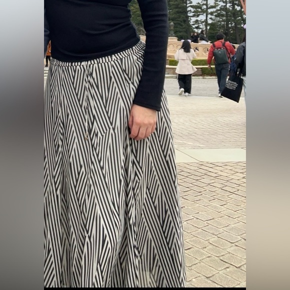 Striped Black and White Skirt - Picture 1 of 3